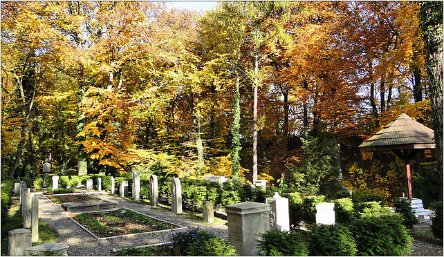 Szczecin Cmentarz Centralny lapidarium, Mieszka I, Szczecin od 71-046 do 71-080 - Zdjęcia