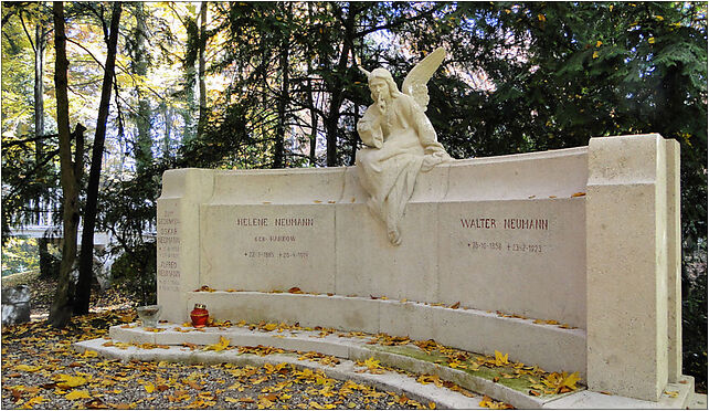 Szczecin Cmentarz Centralny nagrobek rodziny Neumann, Mieszka I od 71-046 do 71-080 - Zdjęcia