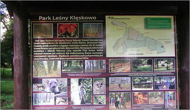 Szczecin-Park Leśny Klęskowo 001, Pszenna, Szczecin 70-780 - Zdjęcia
