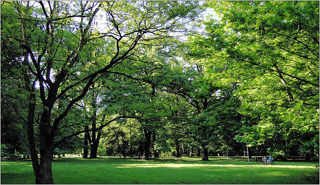 Szczecin Park Zeromskiego (2) , Kapitańska, Szczecin 71-602 - Zdjęcia