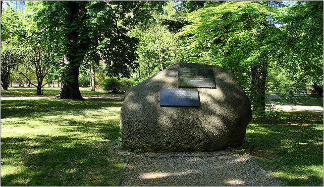 Szczecin Park Zeromskiego glaz Synow Pulku , Kapitańska, Szczecin 71-602 - Zdjęcia