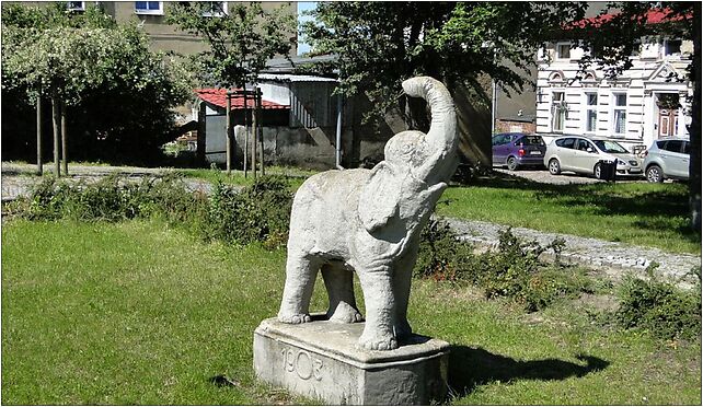 Szczecin Warszewo pomnik slonia, Pegaza 15, Szczecin 71-790 - Zdjęcia