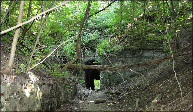 Szczecin Zdroje tunel (1), Kopalniana, Szczecin 70-761 - Zdjęcia