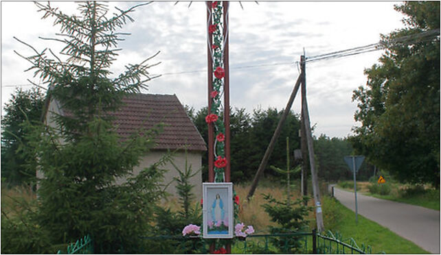 Szczenurze - Cross 01, Szczenurze, Szczenurze 84-360 - Zdjęcia