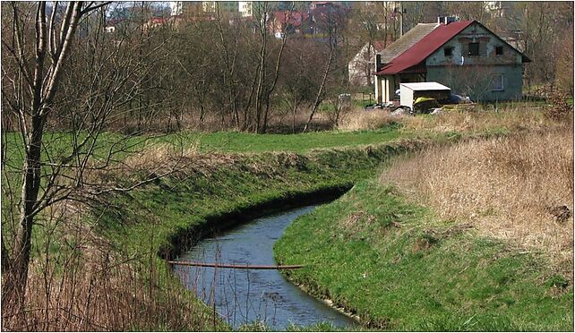 Szotkówka, Powstańców Śląskich, Godów 44-340 - Zdjęcia
