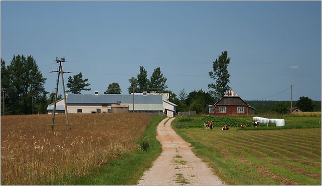 Szuszalewo 17.07.2009 p, Szuszalewo, Szuszalewo 16-200 - Zdjęcia