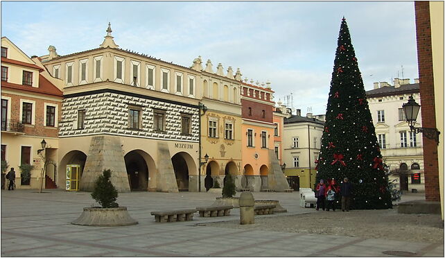 Tarnów, centrum města, Rynek, historické domy a vánoční strom 33-100 - Zdjęcia