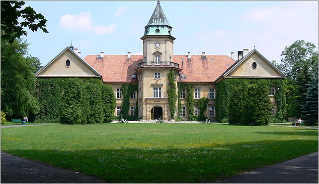 Tarnobrzeg - Tarnowski Castle in Dzikow, Tarnobrzeg 39-400 - Zdjęcia