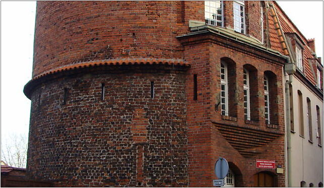 Torun baszta Koci Leb, Teatralny, pl. 5, Toruń 87-100 - Zdjęcia