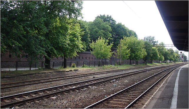 Torunglowny7, Kujawska, Toruń 87-100 - Zdjęcia