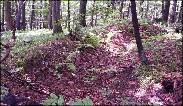 Trench in Bieszczady cm01, Huczwice - Zdjęcia