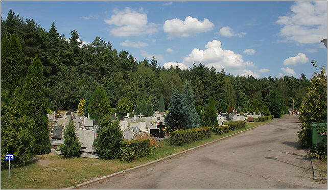 Trzcianka - Cemetery 01, Wspólna, Osiniec 64-904 - Zdjęcia