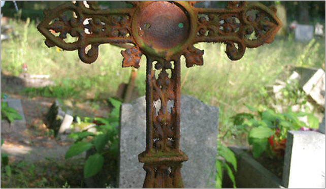 Trzcianka - Old cemetery 01, Skargi Piotra, ks. 17, Trzcianka 64-980 - Zdjęcia