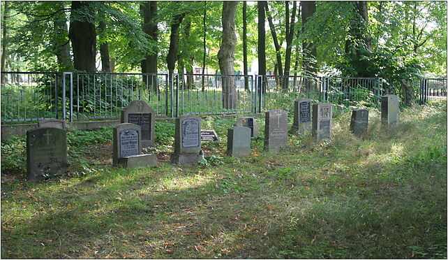 Trzcianka - Old cemetery 05, Skargi Piotra, ks., Trzcianka 64-980 - Zdjęcia