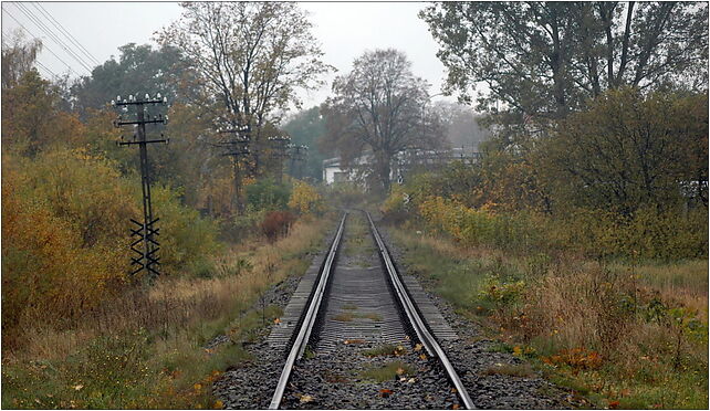 Trzebiatów - Linia kolejowa nr 402, kier. Kołobrzeg, Trzebiatów 72-320 - Zdjęcia