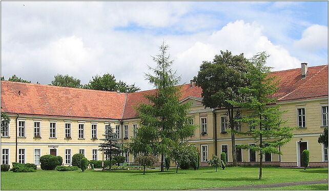 Trzebiatow Palace 2007-07, Wojska Polskiego102 67, Trzebiatów 72-320 - Zdjęcia