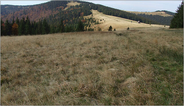 Turbacz a6, Turbacz - Zdjęcia