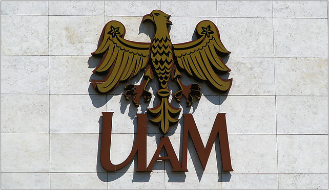 UAM logo Poznan, Wieniawskiego Henryka 1, Poznań 61-712 - Zdjęcia