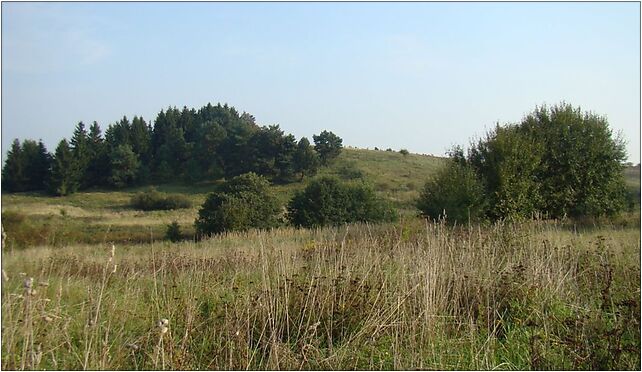 Uzytek ekologiczny Wyszkowa Gora, Kleszcze, Kleszcze 73-140 - Zdjęcia