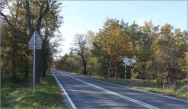 Voivodeship road 632 Marki, Spacerowa, Marki 05-270 - Zdjęcia