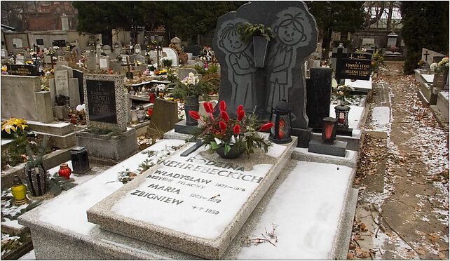 Władysław Nehrebecki grave, Cmentarna, Bielsko-Biała 43-300 - Zdjęcia