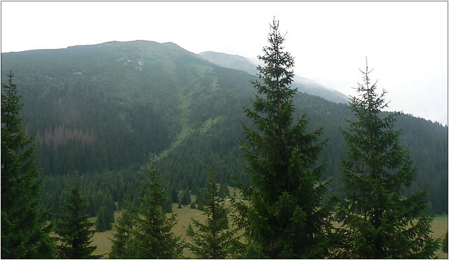 Waksmundzka Polana, Waksmundzki Zleb, Hala Gąsienicowa, Zakopane 34-500 - Zdjęcia