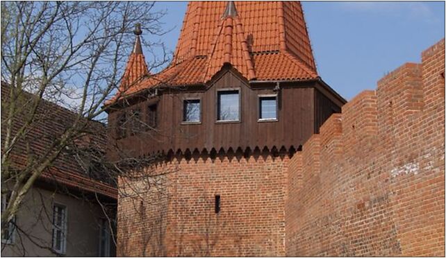 Wall tower in Oppeln, Katedralna, Opole 45-007 - Zdjęcia