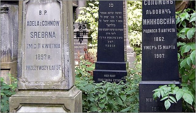 Warsaw Okopowa Jewish Cementery 1, Okopowa, Warszawa od 01-042 do 01-063 - Zdjęcia