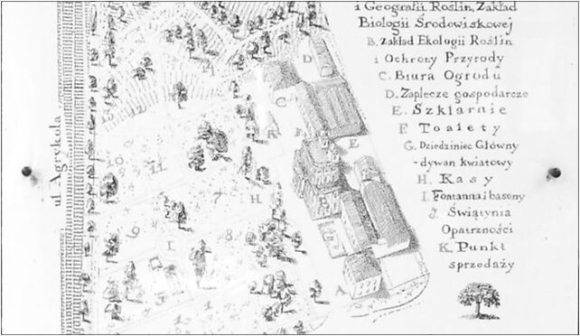 Warsaw Uniwersity Botanical Garden plan, Aleje Ujazdowskie 00-460 - Zdjęcia