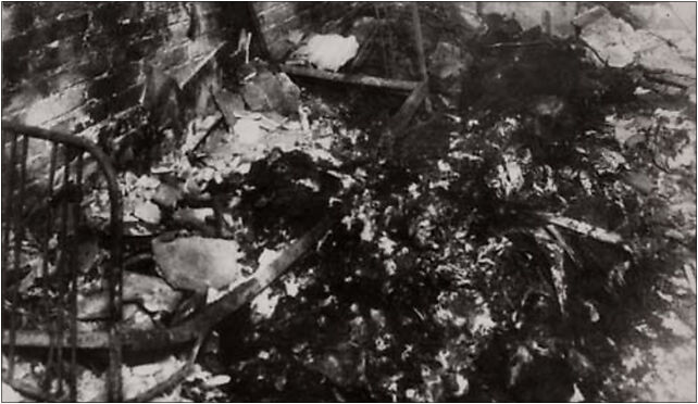 Warsaw Uprising - Mass Killing Site, Rakowiecka 61, Warszawa 02-532 - Zdjęcia