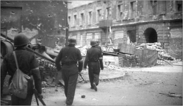 Warsaw Uprising by Haneman - Widok Street - 20773, Bracka 20 00-028 - Zdjęcia