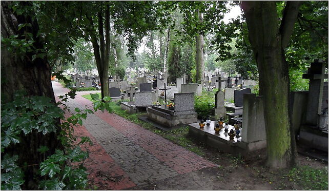 Warszawa-Wlochy, cmentarz przy Ryzowej, Dojazdowa, Warszawa 02-484 - Zdjęcia