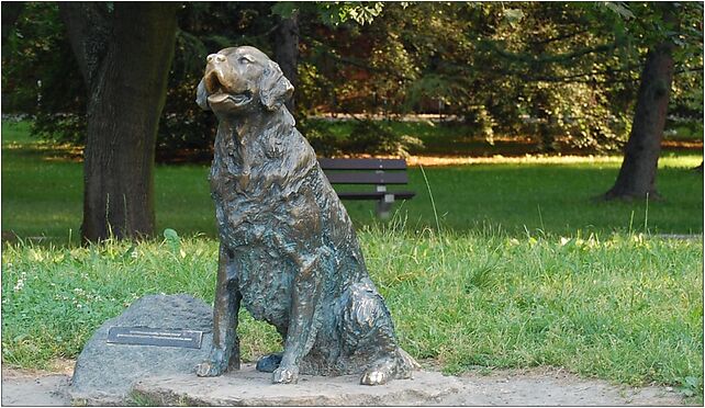 Warszawa pomnik szczęśliwego psa, Rokitnicka, Warszawa 02-131 - Zdjęcia