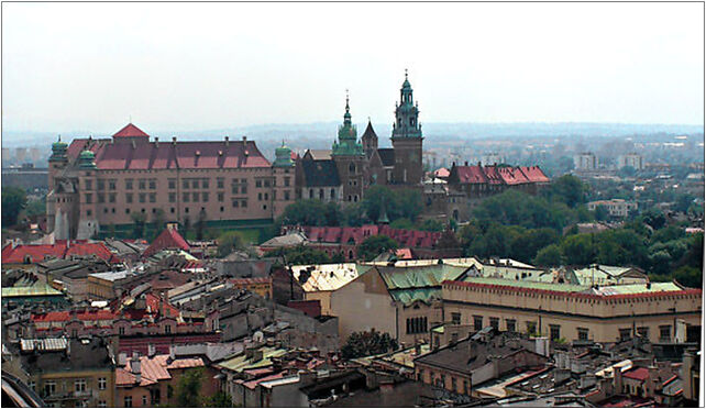 WawelZWIEZY, Zamek Wawel, Kraków 31-001 - Zdjęcia