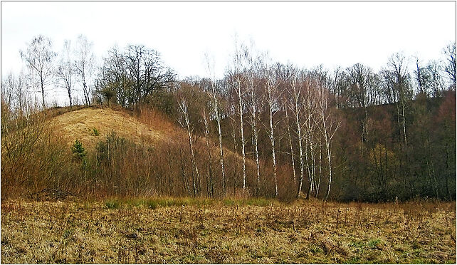 Wczesnośredniowieczne grodzisko w Szeligach na Mazowszu, Szeligi 09-472 - Zdjęcia