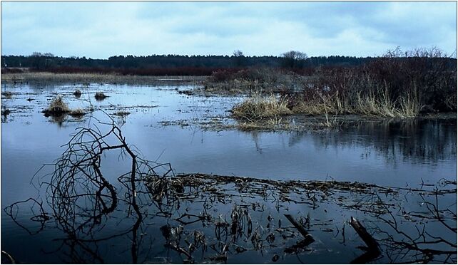 Wetlands001, Kościuszki 3, Sztabin 16-310 - Zdjęcia