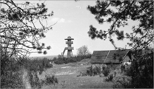 Weze wildlife reserve in 1990, Bobrowniki, Bobrowniki 98-355 - Zdjęcia