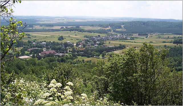 Widok Podlesic z Góry Zborów, Podlesice, Podlesice 42-425 - Zdjęcia