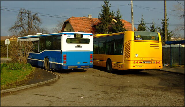 Wieliczka, autobusová konečná, Niepołomska964, Wieliczka 32-020 - Zdjęcia