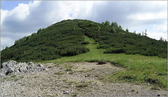 Wielka Kopa Królowa, Hala Gąsienicowa, Zakopane 34-500 - Zdjęcia