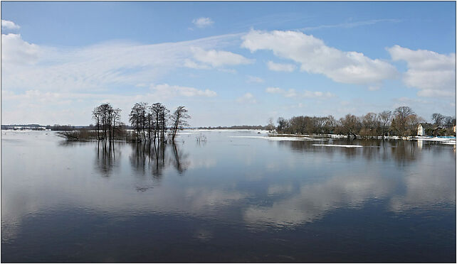 Wieprz river in March, Warszawska809, Blizocin 21-146 - Zdjęcia