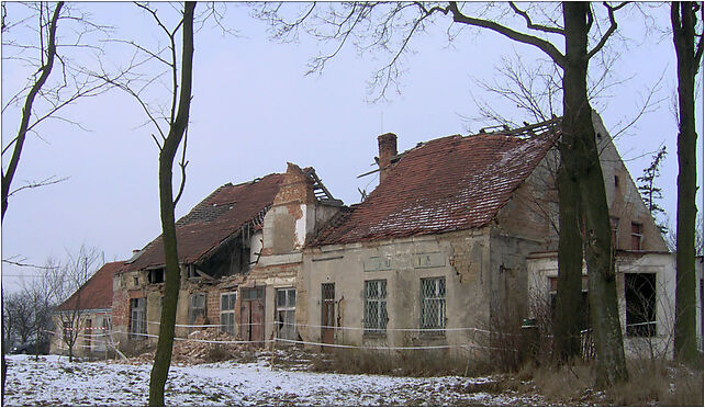 Wierzbowo Manor Hause, Wierzbowo, Wierzbowo 86-230 - Zdjęcia