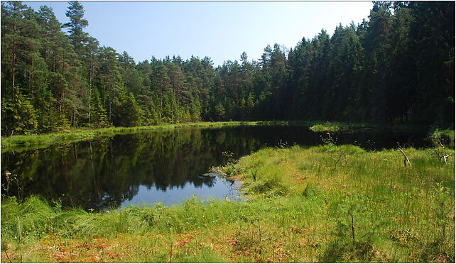 Wigierski suchary 3, Podleszczewo, Podleszczewo 16-412 - Zdjęcia