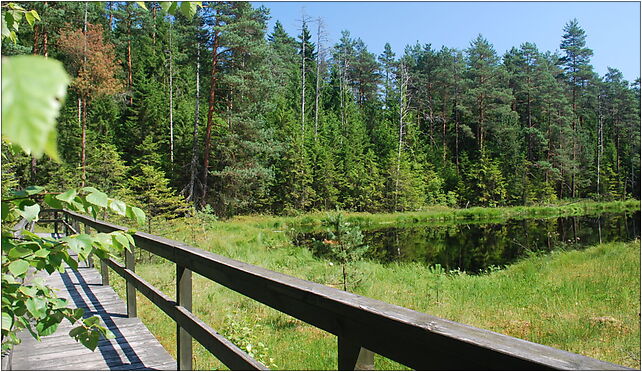 Wigierski suchary 3 kladka, Podleszczewo, Podleszczewo 16-412 - Zdjęcia