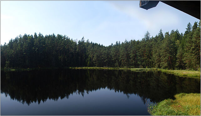 Wigierski suchary 4 panorama, Podleszczewo, Podleszczewo 16-412 - Zdjęcia