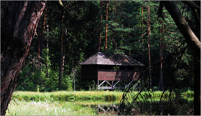 Wigierski suchary 4 widok na budke, Podleszczewo, Podleszczewo 16-412 - Zdjęcia