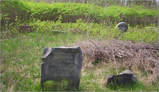 Wiskitki jewish cemetery01, Zagródź, Stare Kozłowice 96-315 - Zdjęcia