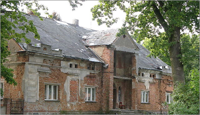 Witkowo Manor House, Witkowo, Witkowo 87-140 - Zdjęcia