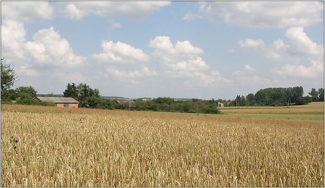 Witoldow 2010 (1), Witoldów - Zdjęcia