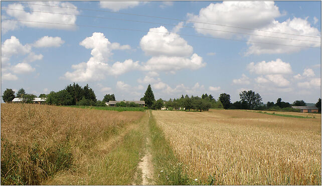 Witoldow 2010 (3), Witoldów - Zdjęcia